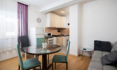 Apartament Vladimir