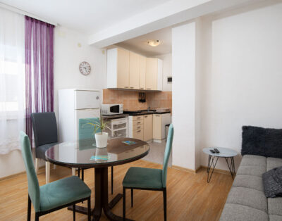 Apartament Vladimir