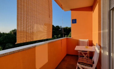 Apartament Mani