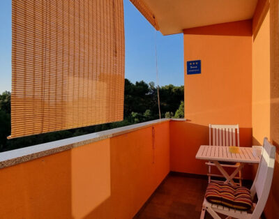Apartament Mani